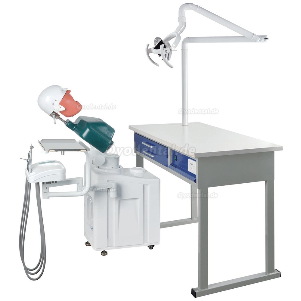 Jingle JG-A1 Phantom Head For Dental Students Dental Simulation Unit